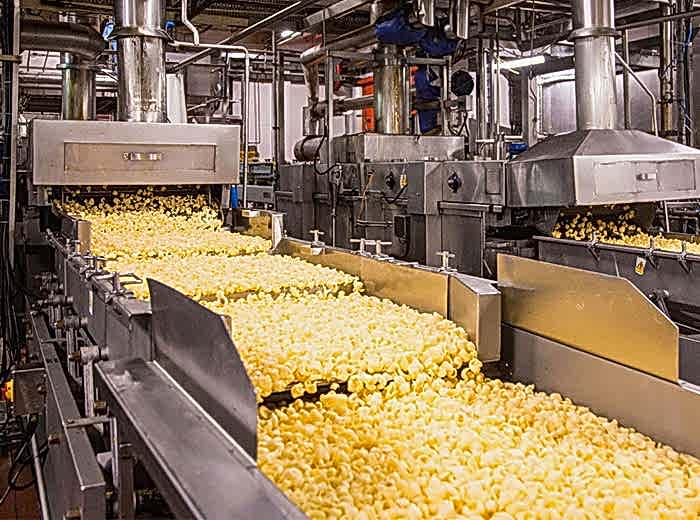 PEPSİCO DORİTOS CİPS GIDA FABRİKASI